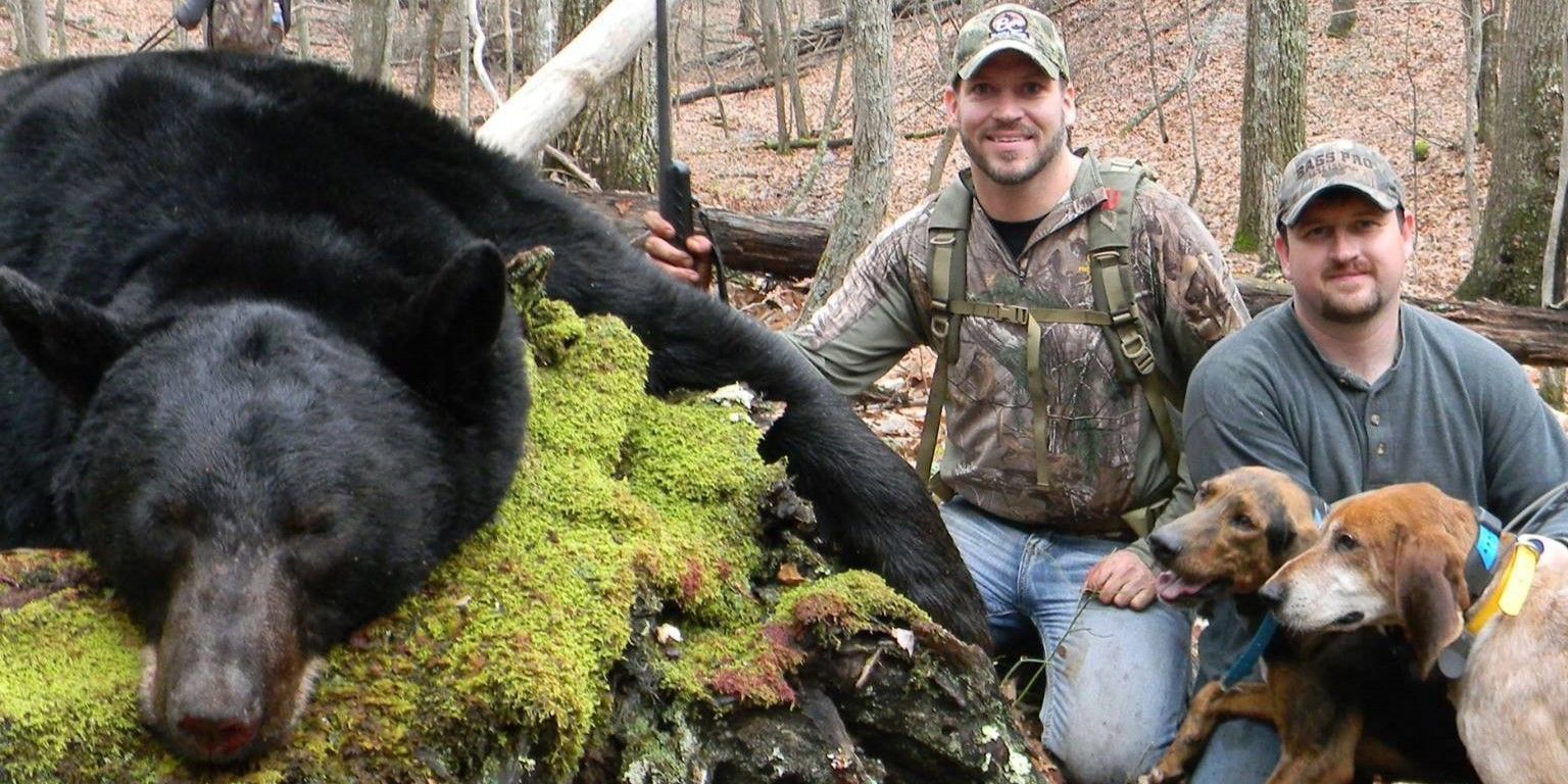 Explore the Untamed Wilderness on a Guided Hunting Trip in western Virginia!